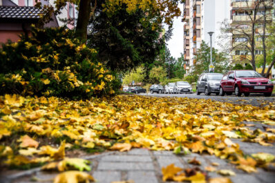 Las hojas caídas en otoño pueden resultar muy peligrosas para la conducción