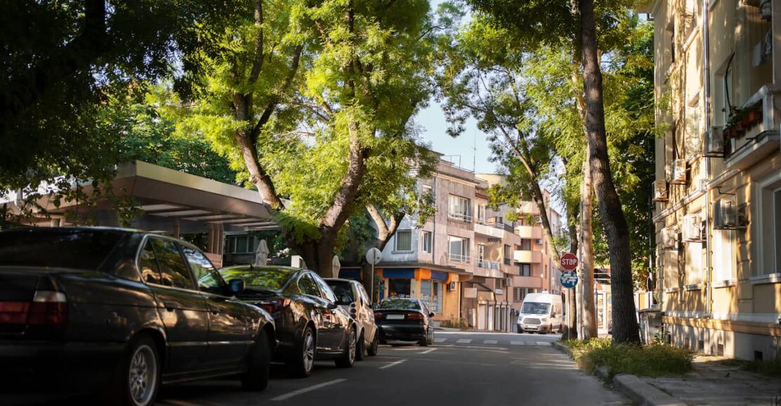 Coches en la calle, bajo los árboles