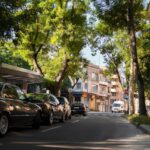 Coches en la calle, bajo los árboles