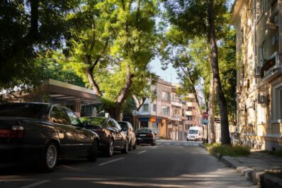 Coches en la calle, bajo los árboles